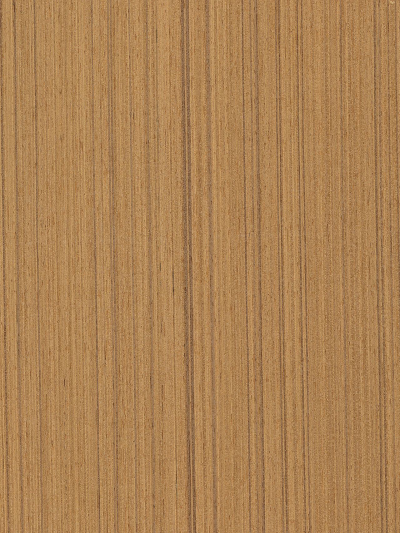 H-42 Teak Freze Koyu