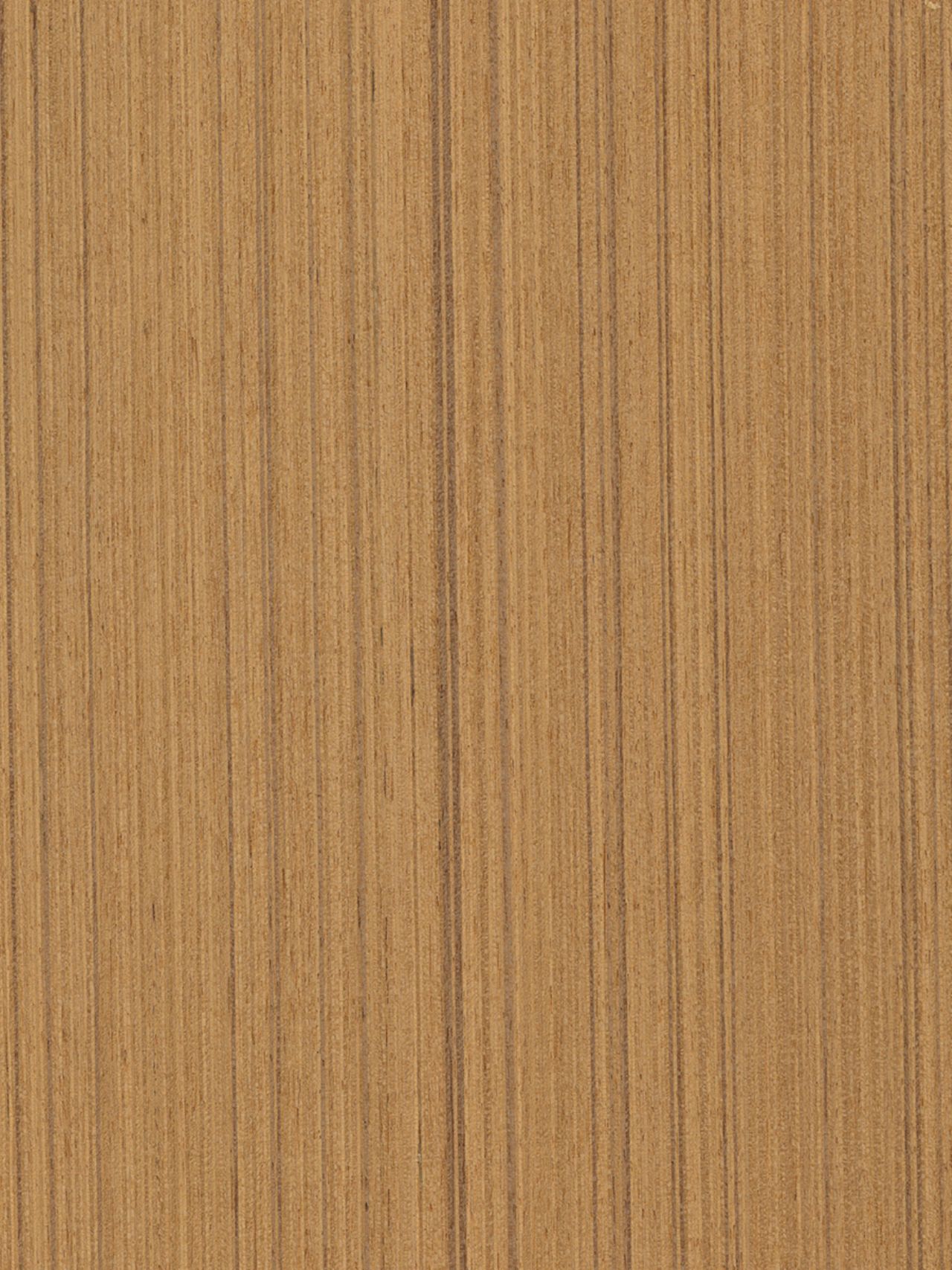 H-42 Teak Freze Koyu