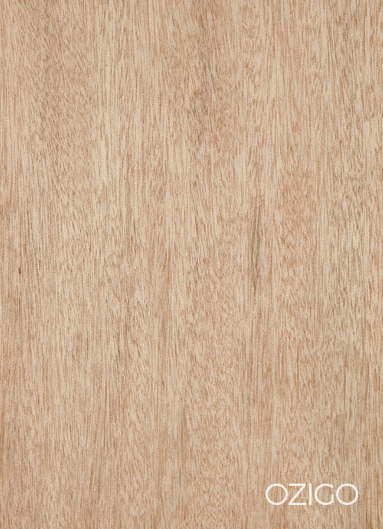 Ozigo