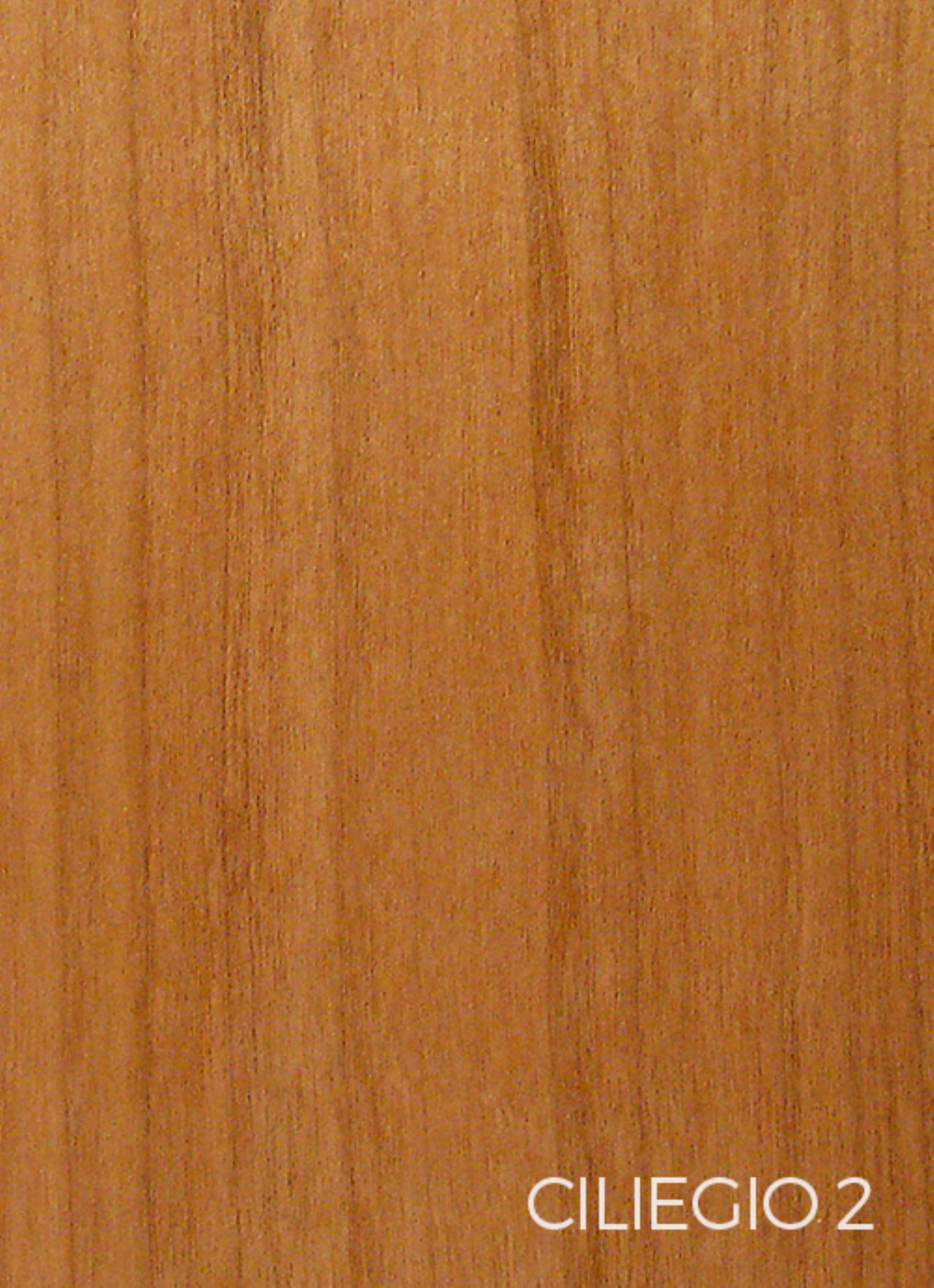 Ciliegio-2