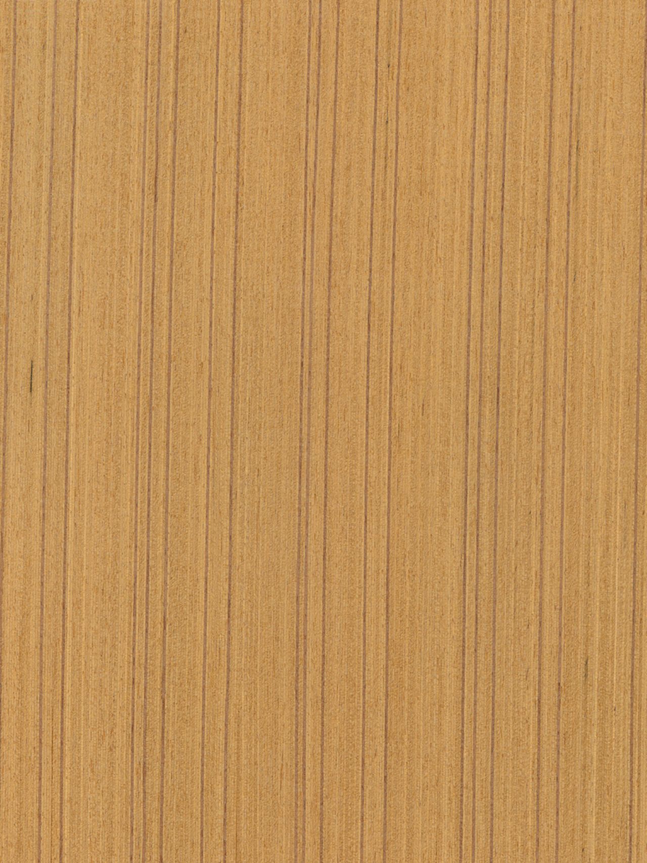 H-7 Teak Freze