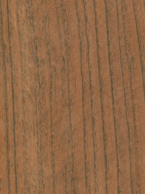 Tiger Wood Kaplama
